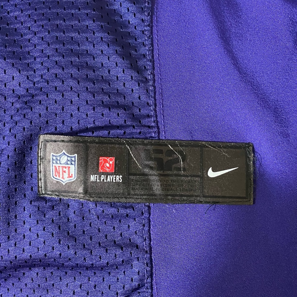 Ray Lewis - Picture 8 of 8